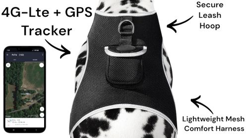 Convenient to Use Realtime Mini Dog GPS Tracking Device with Phone App Size:L